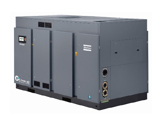 Portfolio Image